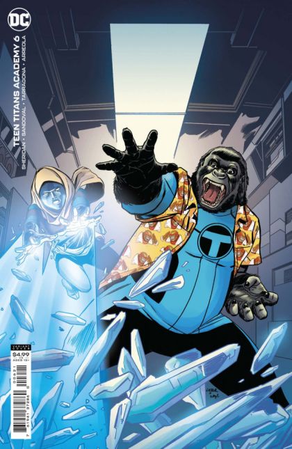 Teen Titans Academy #6B Steve Lieber Card Stock Variant