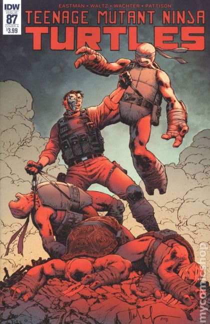 Teenage Mutant Ninja Turtles, Vol. 5 #87A Regular Dave Wachter Cover