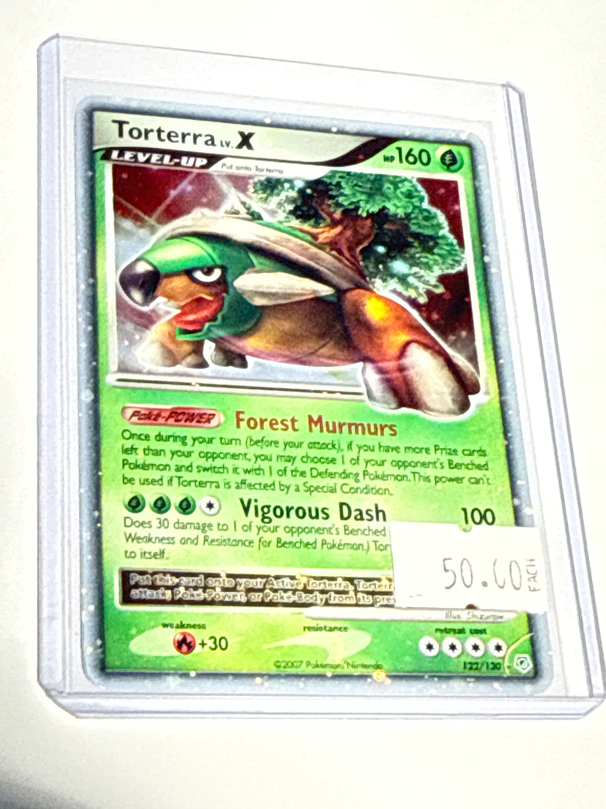 Torterra  - front