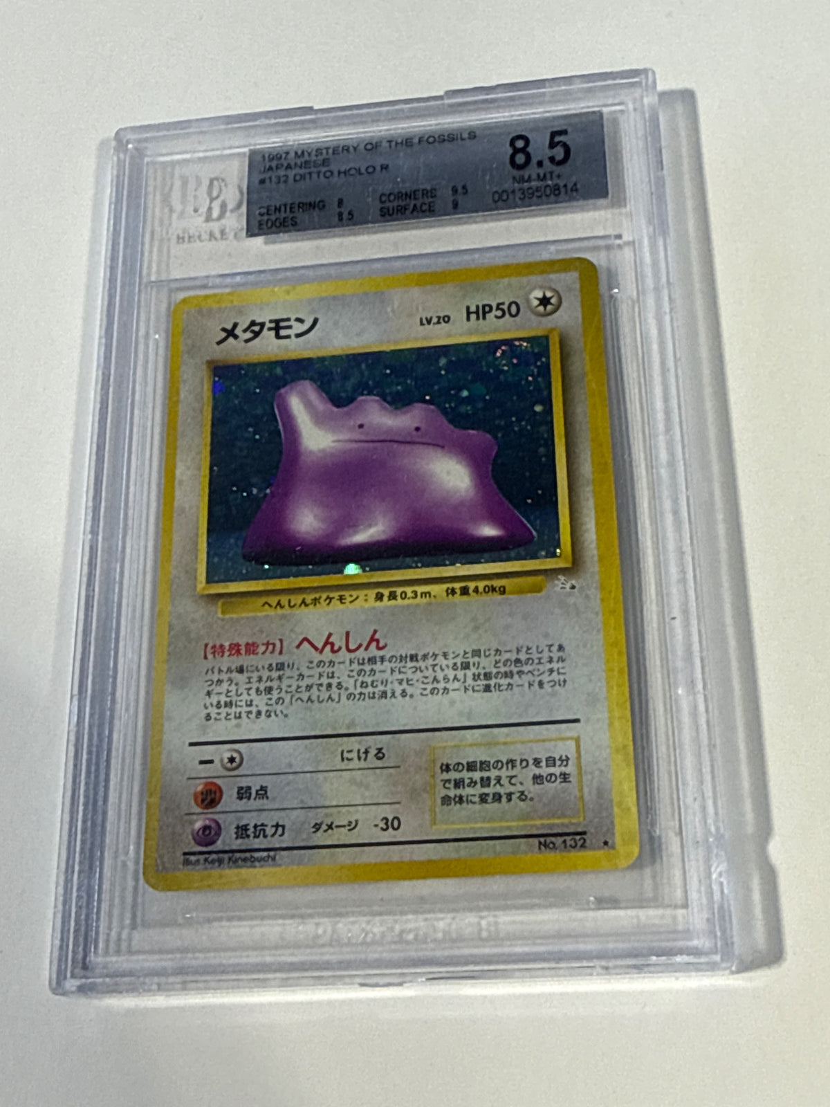 Ditto - front