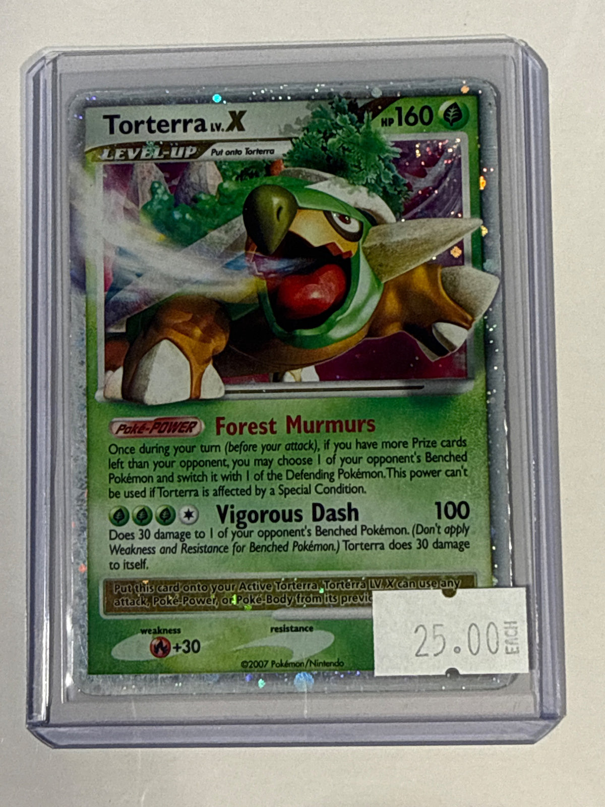 Torterra  - front