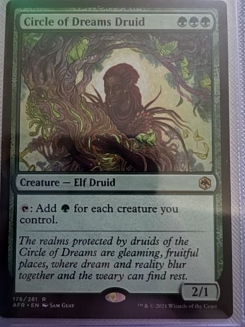 Circle of Dreams Druid, 176/281
