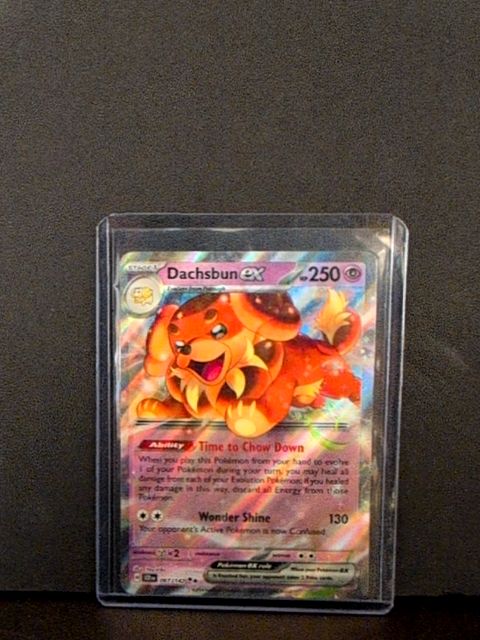 Dachsbun ex 067/142 Sv07: Stellar Crown Double Rare