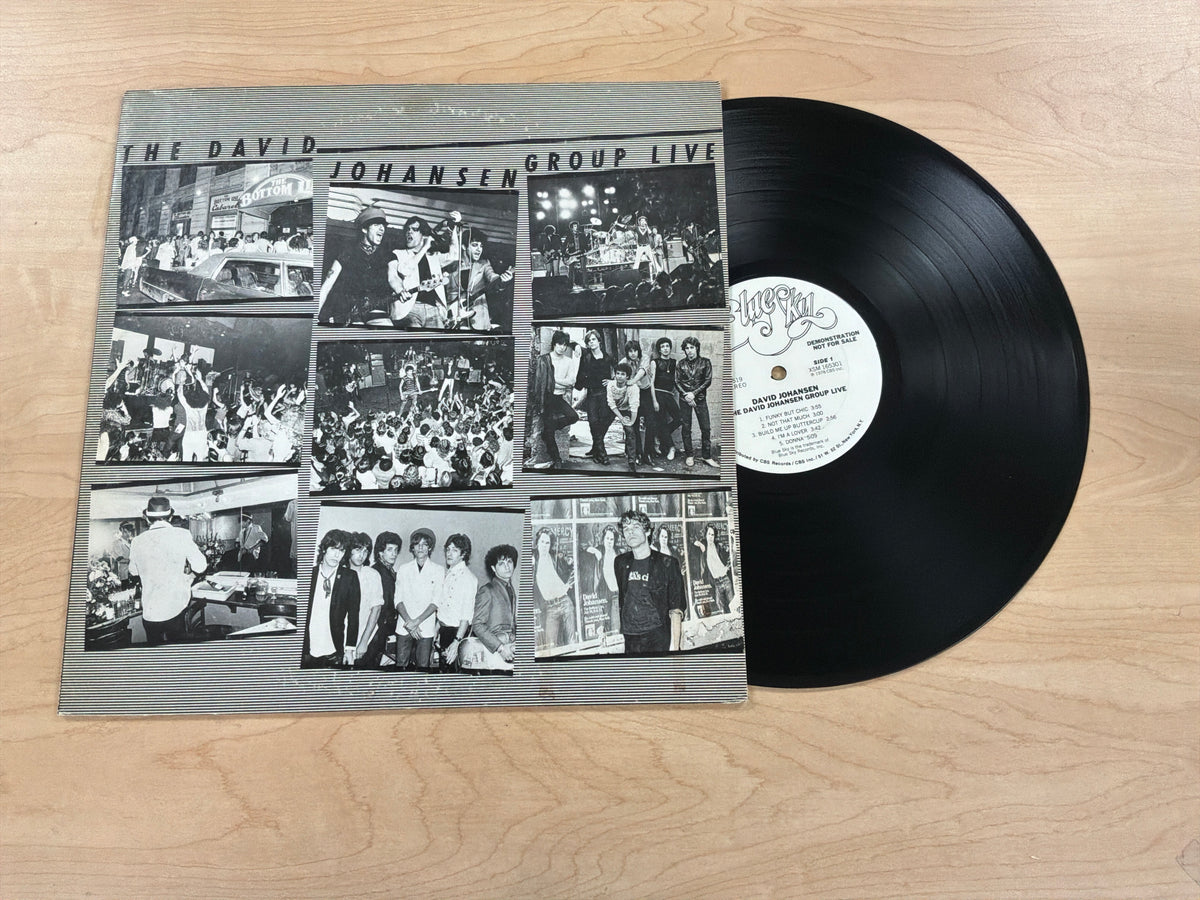 The David Johansen Group Live