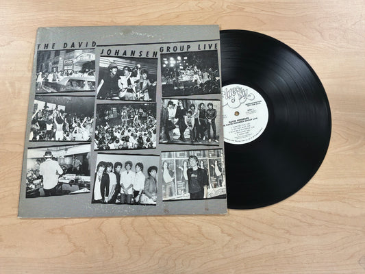 The David Johansen Group Live