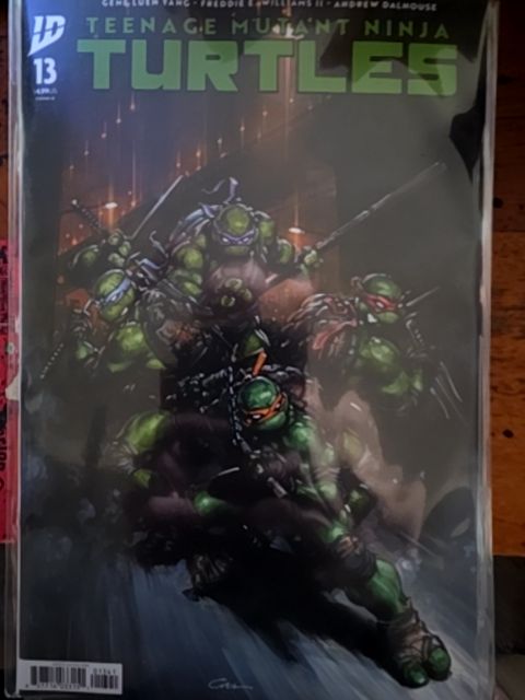 Teenage Mutant Ninja Turtles, Vol. 6 #13, cover D