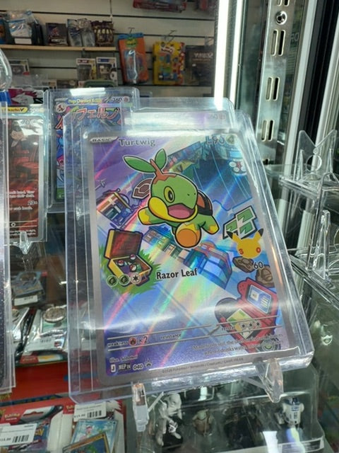 Pokemon first partner turtwig