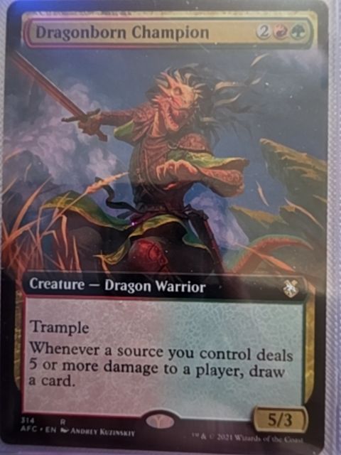 Dragonborn Champion, Extended Art, 314
