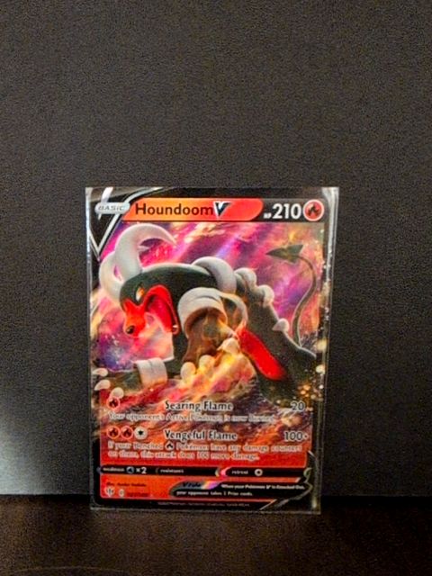 Houndoom V 021/189 - Darkness Ablaze Ultra Rare