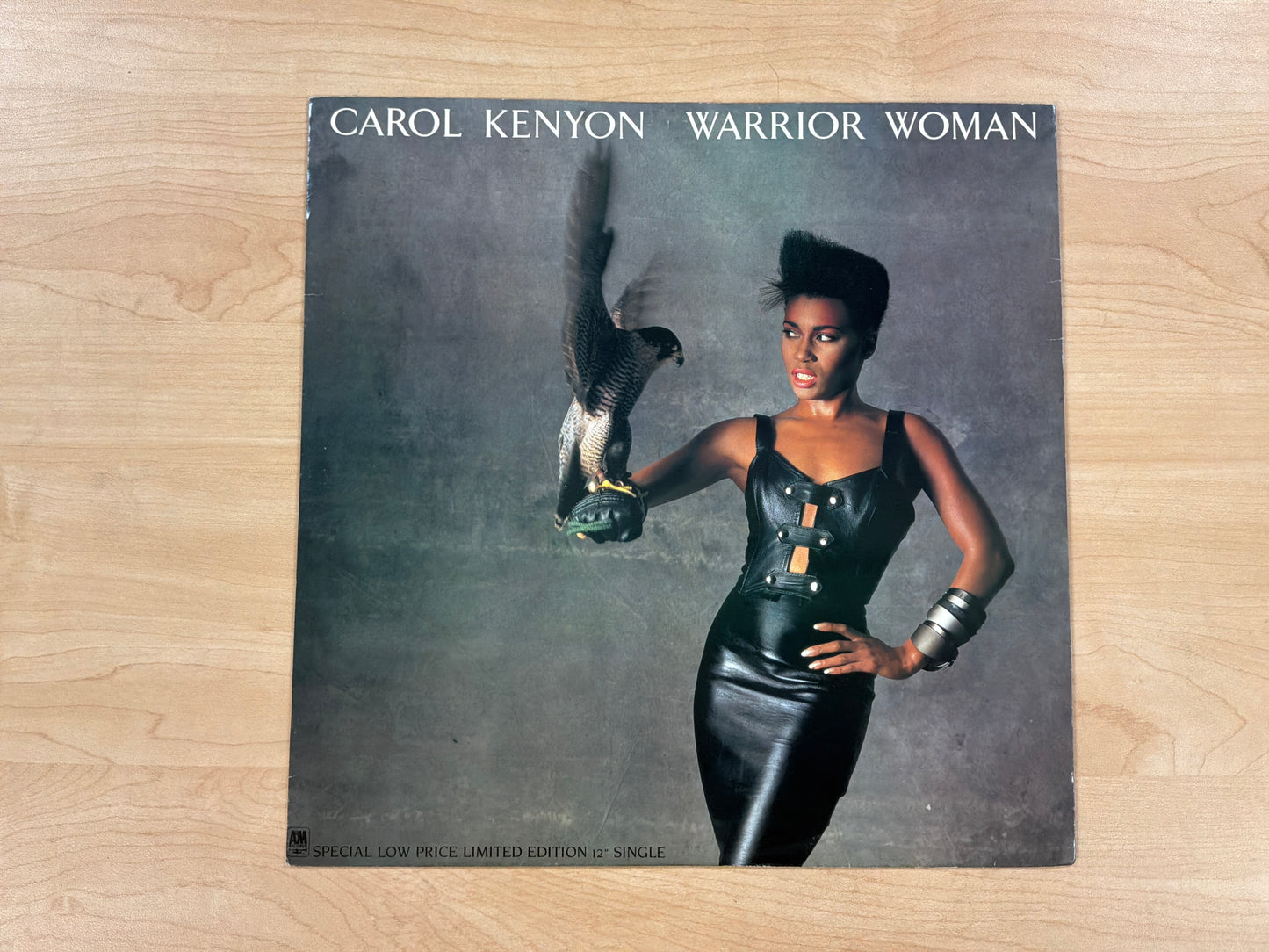 Carol Kenyon - Warrior Woman