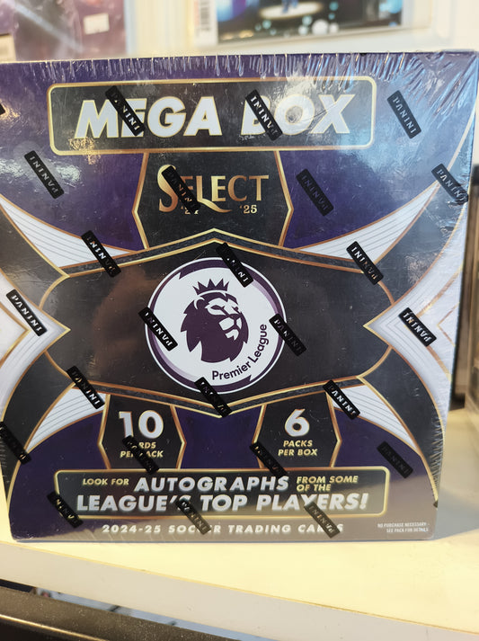 Panini 2024-25 Select Premier League